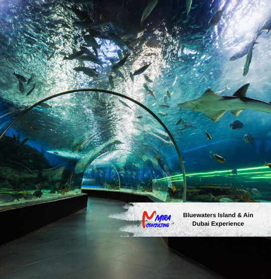 Aquaventure Waterpark And Lost Chambers Aquarium